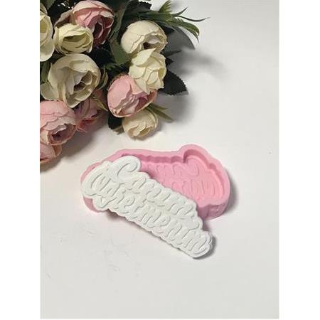 Canım Öğretmenim Silikon Kalıbı KT-578